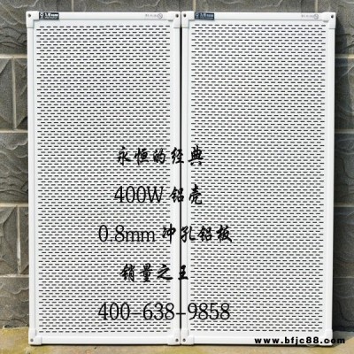 全鋁合金沖孔系列壁掛式電暖器400W石墨烯電暖氣雙替代中標遠紅外對流取暖設備