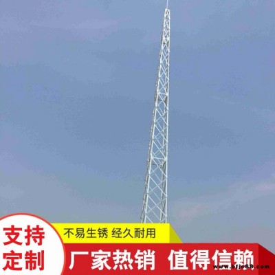廠家專業(yè) 工藝避雷塔 圓鋼避雷塔  角鋼避雷塔 專業(yè)定制各類避雷塔 信賴