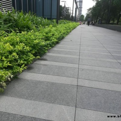 惠州黑冰花巴西白玫瑰大理石·惠州樹掛冰花·虎皮黃大理石廠家