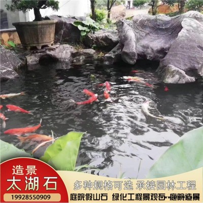 駁岸造景太湖石  園林造景景觀石  太湖石魚池圍邊造景