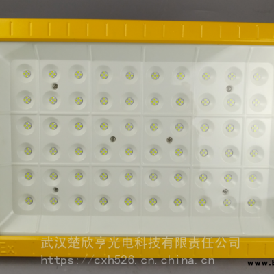 高桿燈LED防爆燈200WLED防爆投光燈300W400WLED防爆燈