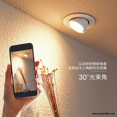 led象鼻燈10w 嵌入式led天花射燈 360度旋轉(zhuǎn)可調(diào)角度射燈