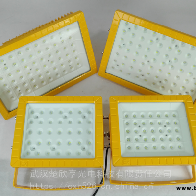 熱電廠LED防爆燈200W300WLED防爆投光燈100WLED防爆燈