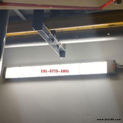 化妝品廠led防爆熒光燈_100w防爆熒光燈_100w護(hù)欄式防爆燈_廠家直銷