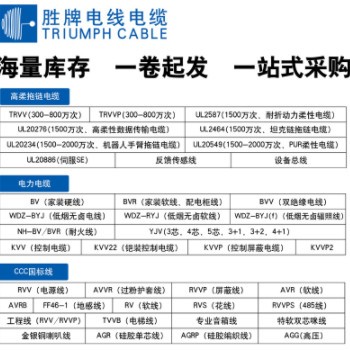 勝牌通訊信號(hào)線RVVP雙屏蔽信號(hào)電纜線2-6芯0.12MM信號(hào)控制線