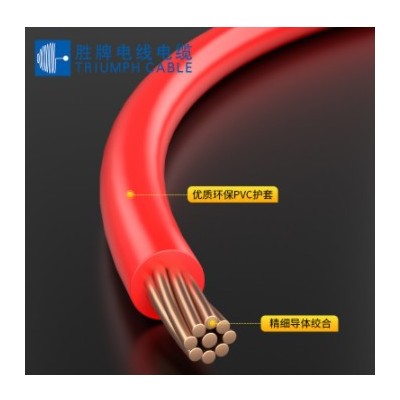 勝牌BVR10mm國標(biāo)家裝家用銅芯電線 阻燃單芯多股軟線電源線