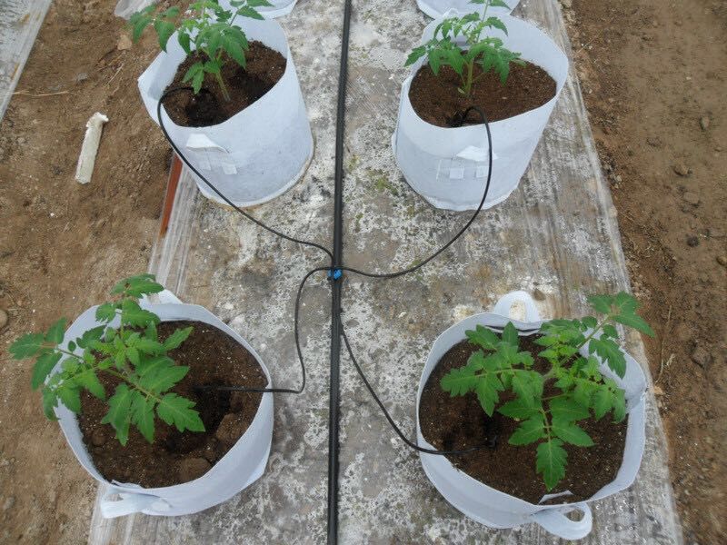 大棚溫室灌溉25PE管 大棚噴灌PE管 蔬菜噴灌設(shè)備專用pe管廠家示例圖10