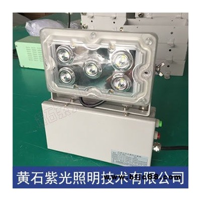 GAD605-J應(yīng)急燈-NFE9178固態(tài)應(yīng)急照明燈