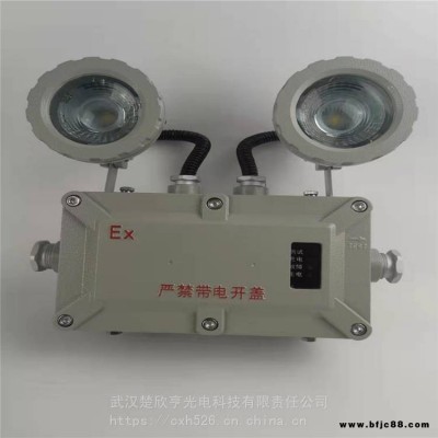 BJD320防爆雙頭應急燈 出口指示燈 出口指示燈
