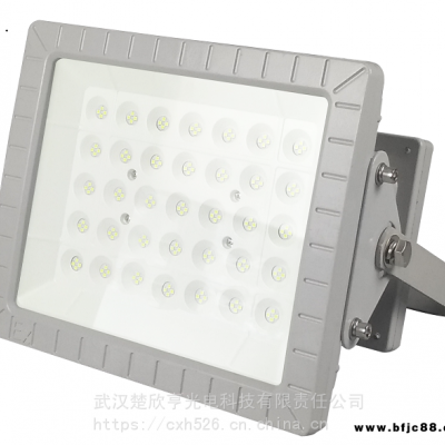 工業廢水廠LED防爆燈70WLED防爆投光燈100WLED防爆燈150W