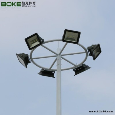 球場(chǎng)燈桿 BK-2026小區(qū)庭院燈燈桿 足球場(chǎng)燈桿廠家 15米足球場(chǎng)專(zhuān)用照明燈桿 廠家直銷(xiāo) 耐用抗腐蝕