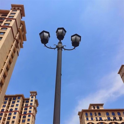 小區(qū)庭院燈 30瓦歐式庭院燈景觀燈