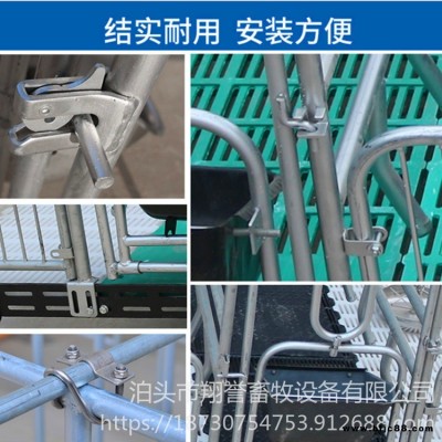 歐式碰鎖加厚 母豬產床門扣 保育床豬籠門鎖 翔譽