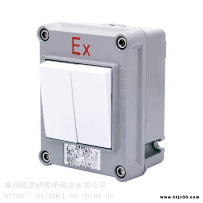 防爆墻壁開關照明開關單開雙開220V10A明裝暗裝86型防爆插銷5孔
