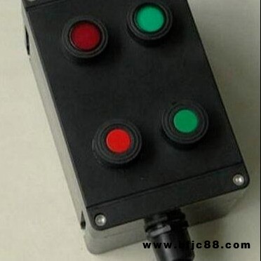 BZC51 A2B1D2GWF1 兩燈兩鈕一電流表 內(nèi)