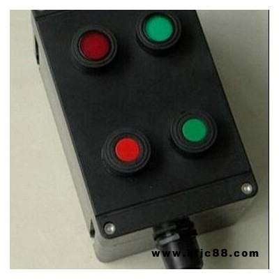 BZC51 A2B1D2GWF1 兩燈兩鈕一電流表 內(nèi)