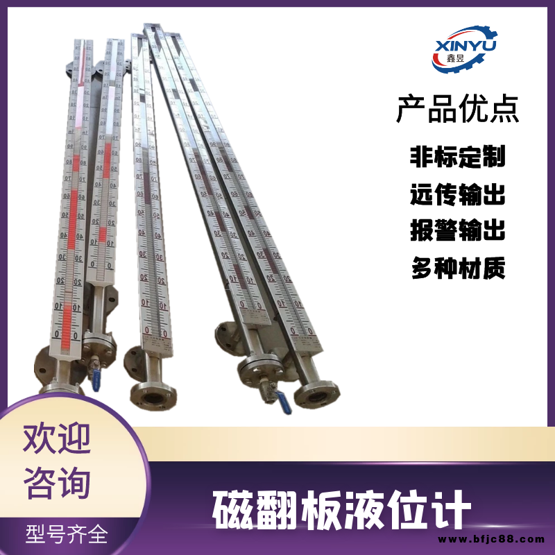 石英管液位計 浮筒液位開專 液位遠(yuǎn)傳變送器 鑫昱