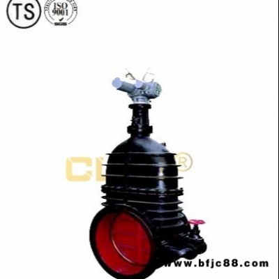 鑄鐵閘閥 Z41T明桿閘閥 Z45T暗桿閘閥 CLKG /弗西尼 可定制非標(biāo)