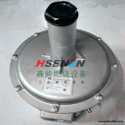 FG1B15朱麗安尼調壓器 朱利安尼調壓閥 FG1B20燃燒機管道減壓閥 現貨原裝保證