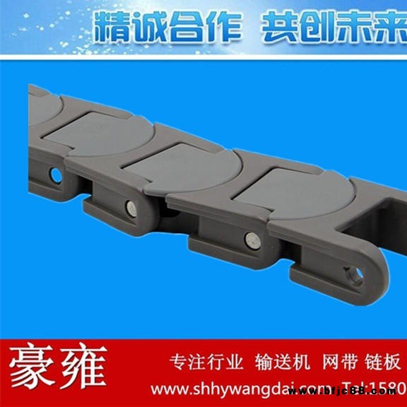 1765無間隙塑料龍骨鏈 工業龍骨鏈 節距50mm輸送鏈  河北廠家直銷