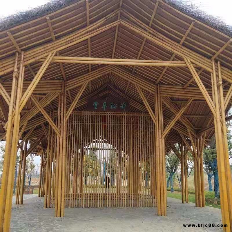 湖州安吉竹竿廠家源產(chǎn)地發(fā)貨白竹民宿酒店裝飾防腐竹竿吊頂隔斷竹桿長短粗細(xì)可定制