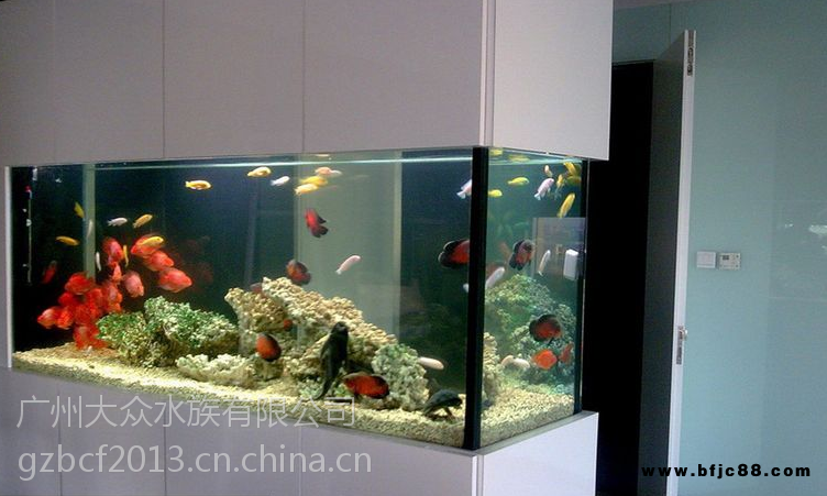 廣州魚缸生產(chǎn)廠家廣州辦公樓隔斷式屏風魚缸訂做廣州專業(yè)訂做隔斷式魚缸廣州隔斷式魚缸供應商