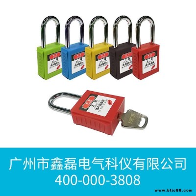 專業 InteLOCK 標準安全掛鎖 (45mm塑料鎖體,6mm直徑,38mm高鋼制鎖梁) 多種顏色選擇