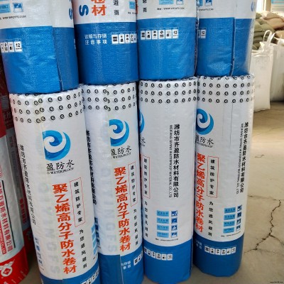 山東齊盈防水 聚乙烯丙綸防水卷材防水卷材涂料價(jià)格 屋頂屋面防水材料 防水防潮