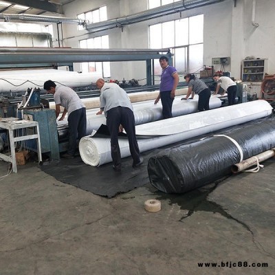 定制型防滲復合土工膜 抗暴曬長絲兩布一膜 河道護坡PE一布一膜廠家