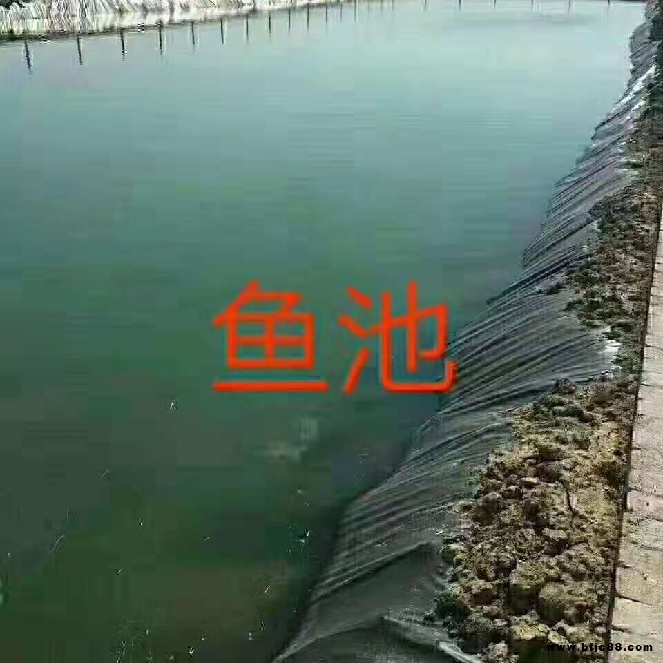 魚塘防滲膜HDPE加厚黑色土工膜防水布蝦魚池專用護坡養殖膜藕池膜
