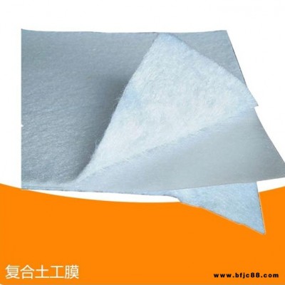 600克700克800克900克1000克一布一膜 兩布一膜 復合土工膜