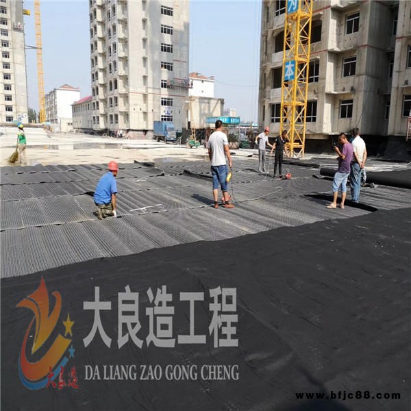 排水板廠家直銷 批發 疏水板排水板價格實惠  排水板廠家施工