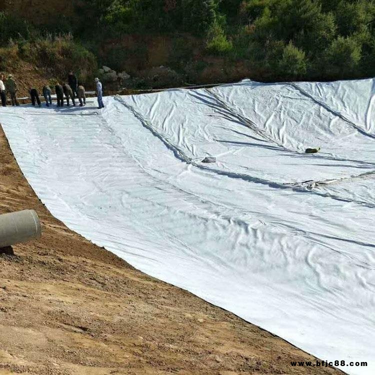 廣東防滲一布一膜 綠化帶排水一布一膜復合土工膜 量大從優