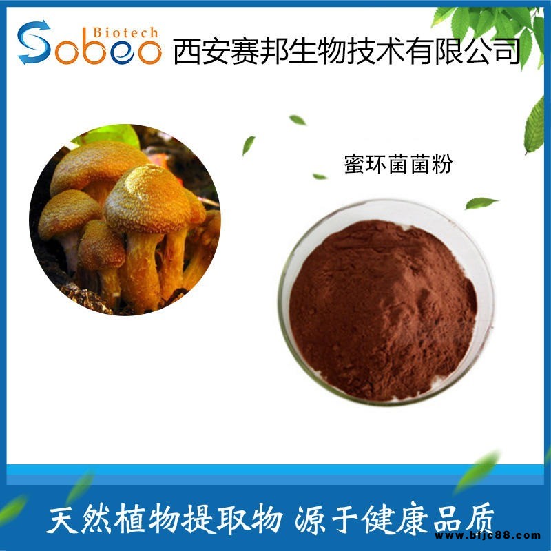 蜜環(huán)菌提取物 萃取濃縮粉 蜜環(huán)菌菌粉 蜜環(huán)菌多糖 現(xiàn)貨包郵
