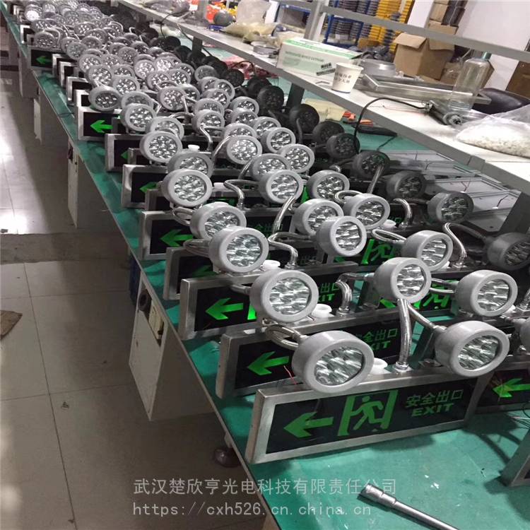 BAJ52煤礦用防爆應(yīng)急標(biāo)志燈 礦用防爆雙頭應(yīng)急燈 應(yīng)急照明雙頭燈