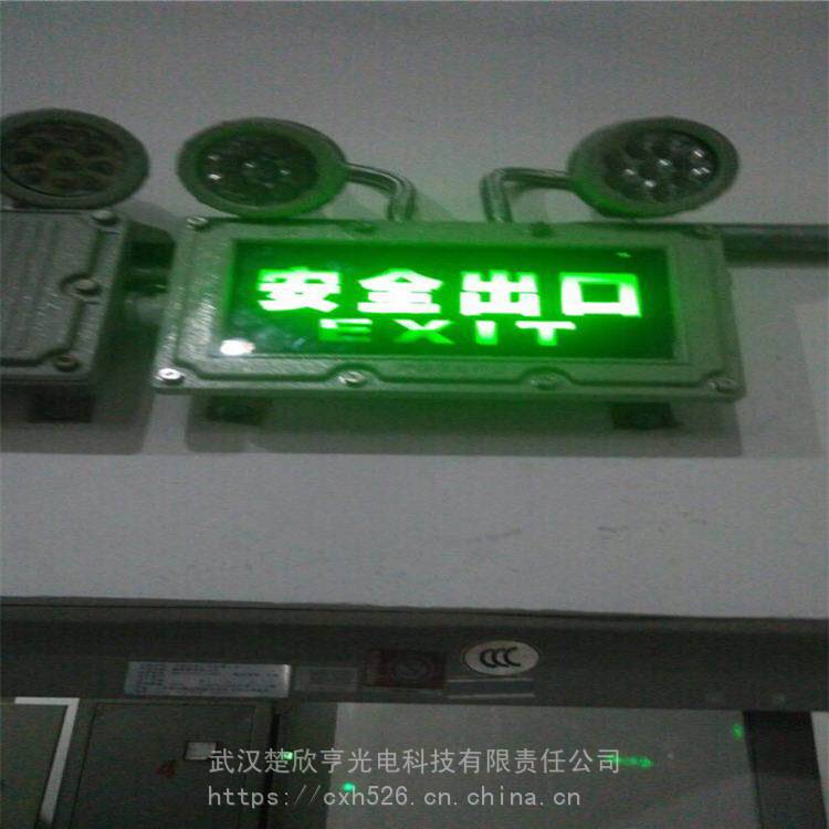 BYY防爆應急燈雙頭 出口指示燈 粉塵防爆雙頭應急燈
