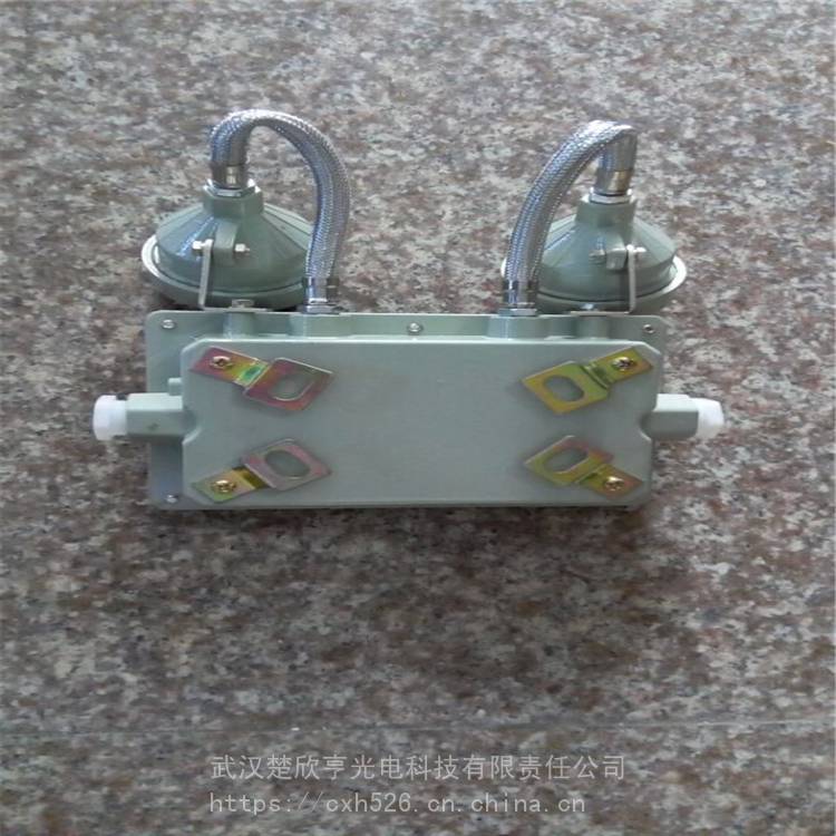 BYY防爆應(yīng)急燈 雙頭室外應(yīng)急照明燈 粉塵防爆雙頭應(yīng)急燈