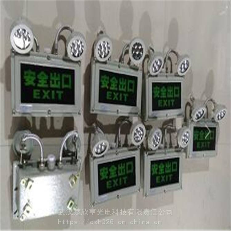 BAJ52防爆應(yīng)急燈 應(yīng)急照明雙頭燈 礦用防爆雙頭應(yīng)急燈