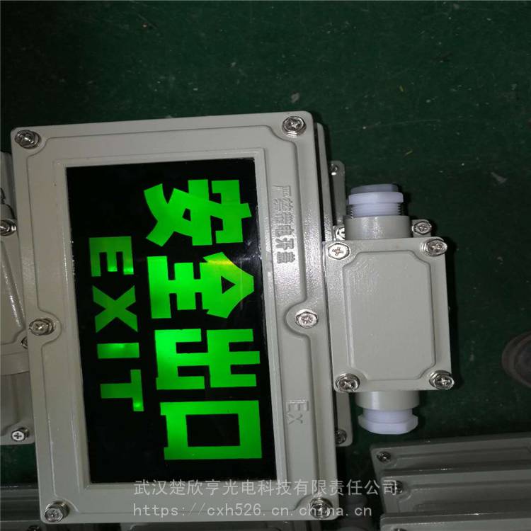 BYY雙頭防爆應急燈 雙頭應急燈 防爆疏散指示燈