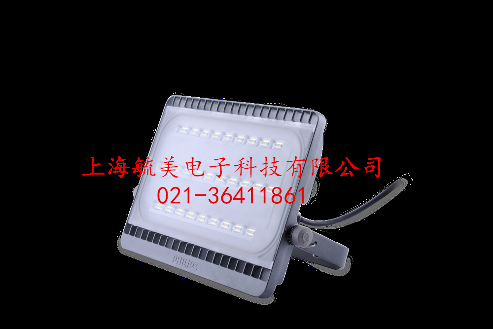 飛利浦LED投光燈 BVP161/100W示例圖4