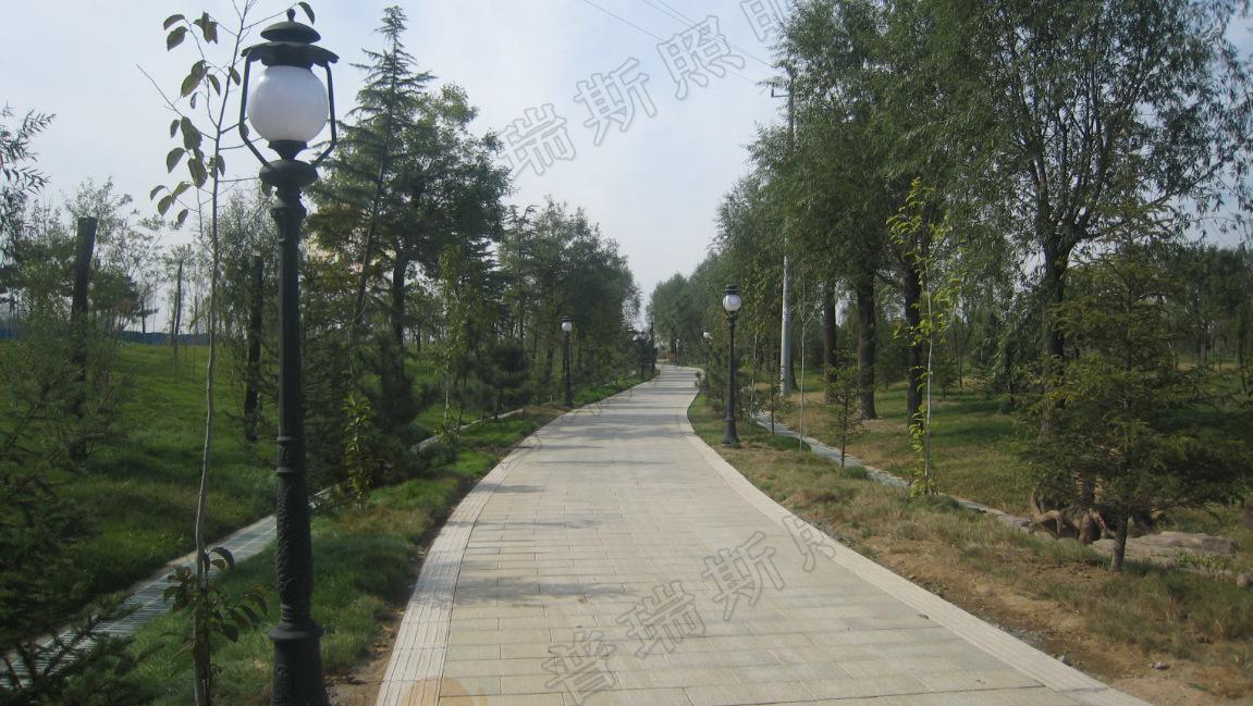 廠家直銷 庭院燈 景觀燈 景觀美化燈具 草坪燈批發定制庭院燈示例圖2