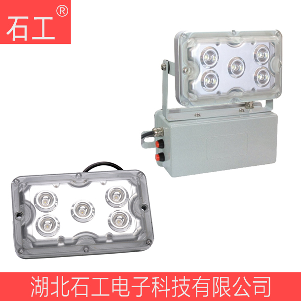 NFE9178固態(tài)免維護應(yīng)急燈