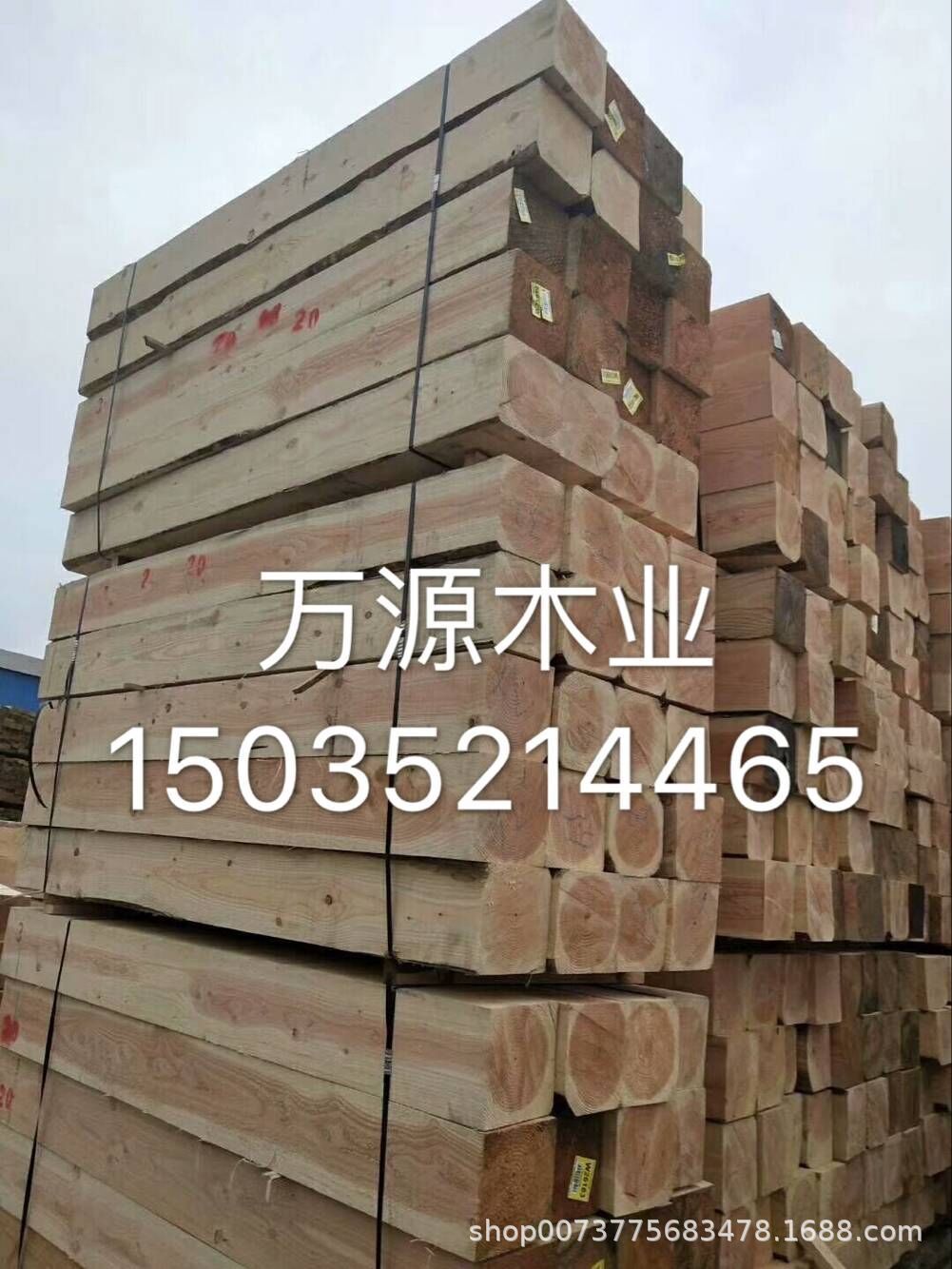 8992636405_192953475.jpg