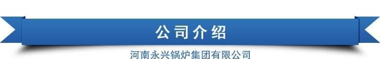 家用暖氣鍋爐 電磁采暖醇基燃料燃煤鍋爐 家用節(jié)能采暖爐燃煤示例圖24