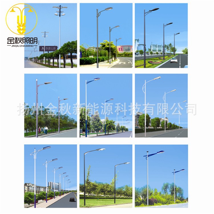 壓鑄鋁庭院燈別墅道路燈花園廣場LED路燈歐式庭院燈批發(fā)4米庭院路燈 燈殼壓鑄鋁 質(zhì)優(yōu)價廉 可定制3.5米庭院燈價格示例圖15