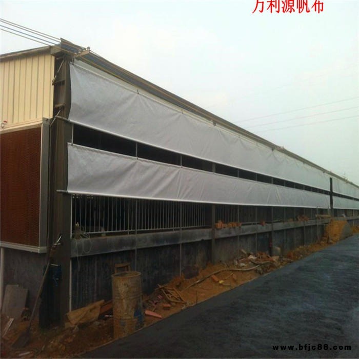 廠家生產養殖卷簾防水布油布篷布批發-加工豬場擋簾布-養鴿場防風布-牛場側簾優惠促銷