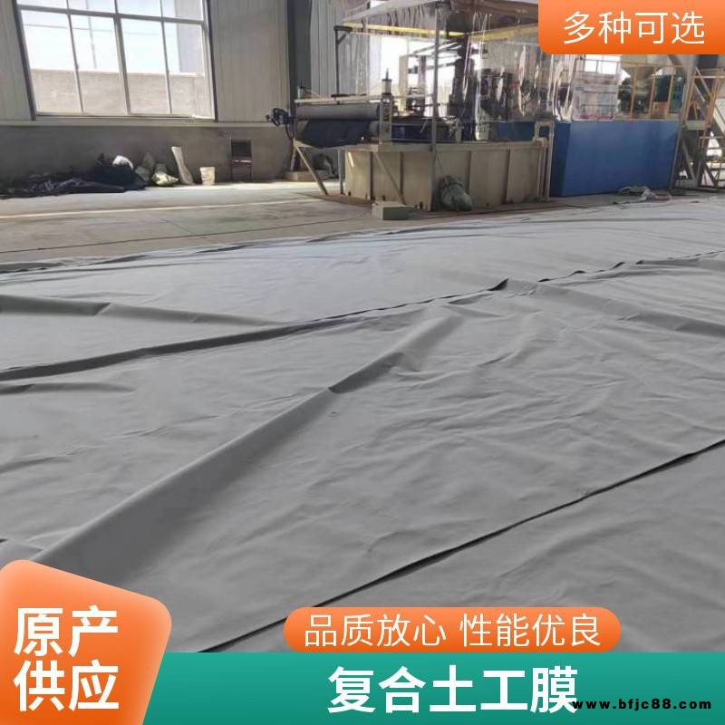 復合土工膜防滲一布兩布一膜 魚塘河道防水養殖膜加厚防滲布土工布