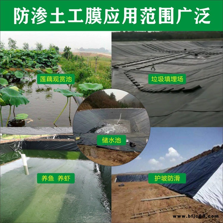 土工膜復合土工膜防滲土工布水產養殖膜HDPE膜兩布一膜一布一膜潤澤廠家量大價優