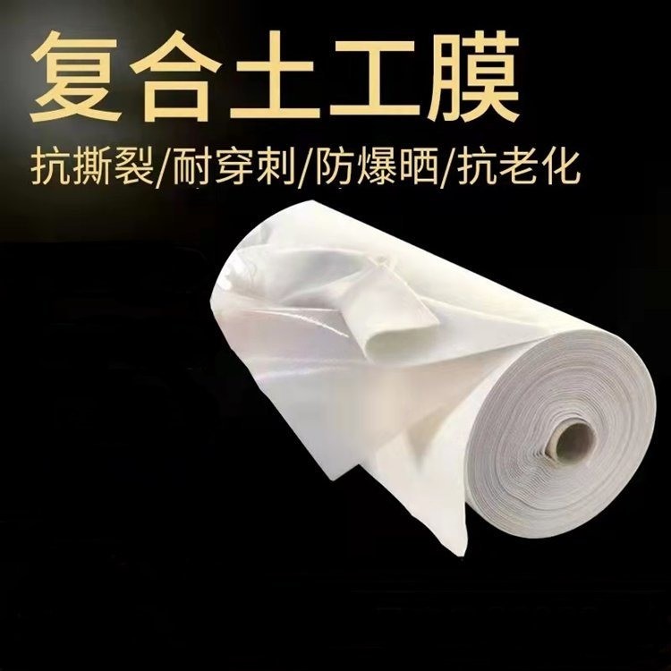 土工膜防水防滲膜人工湖魚塘魚池河道護坡塑料膜復合一布兩布一膜潤澤批發