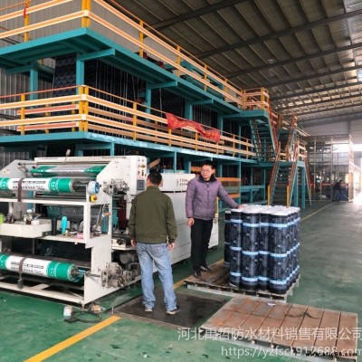 遼寧營口廠家直銷SBS火烤型 防水卷材 耐根穿刺防水卷材  河北昕宇虹防水卷材